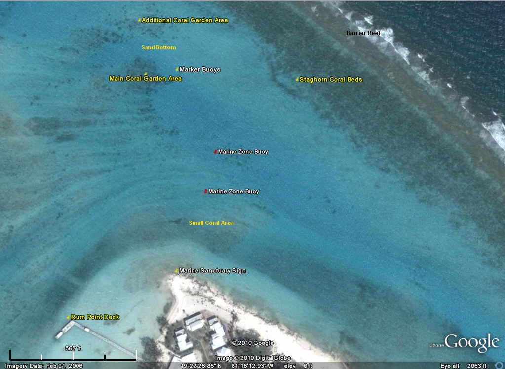 TESTUDO'S SNORKEL GUIDE Cayman Off the Beaten Path SNORKEL GUIDE RUM